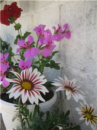 3945a504-Ekipica balkonskog.jpg